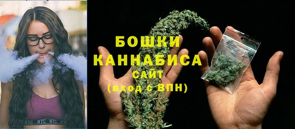 дмт Заводоуковск
