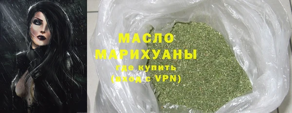 дмт Заводоуковск